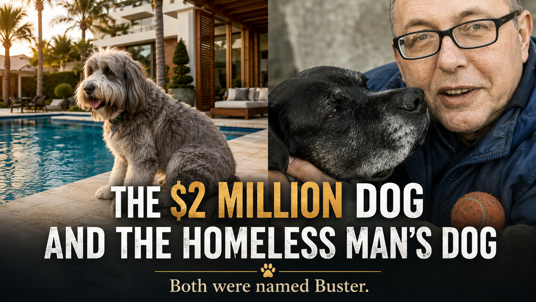 ONE DOG LIVED IN LUXURY. THE OTHER LIVED WITH A HOMELESS MAN. BOTH WERE NAMED BUSTER.