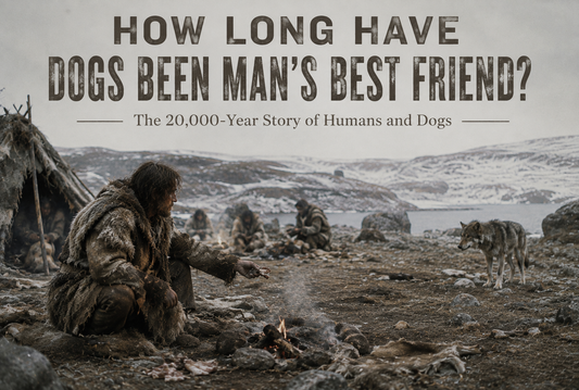 HOW LONG HAVE DOGS BEEN MAN'S BEST FRIEND?