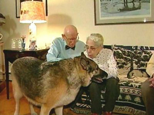 THE DOG YOU ALMOST DIDN’T KEEP IS THE ONE WHO GETS YOU HOME ALIVE.