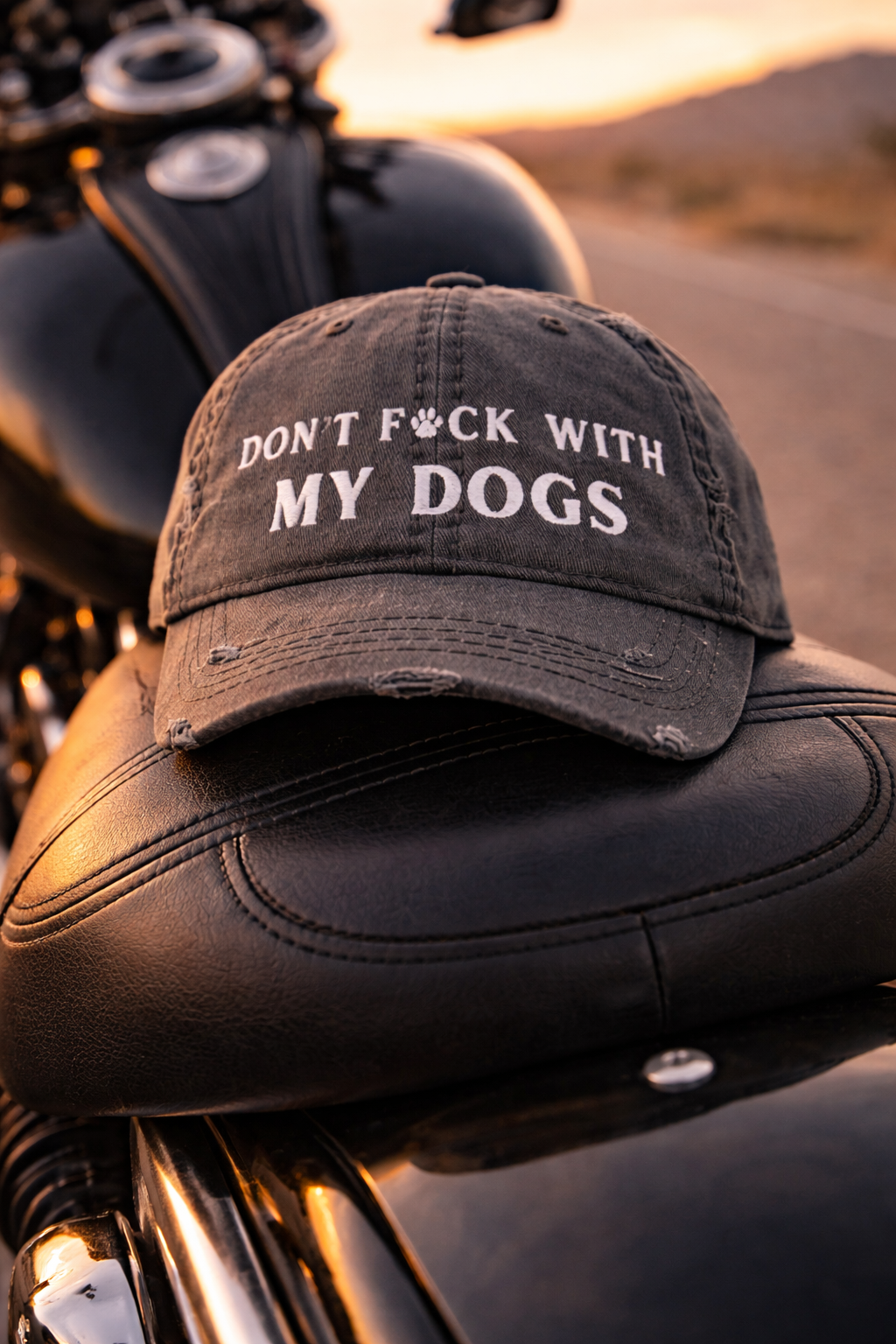 Black cap with text 'Don't F with My Dogs' on a motorcycle seat.